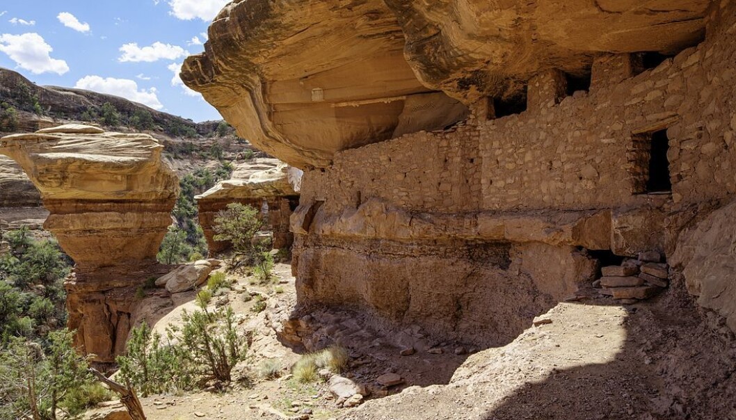 Dette er Moon House-ruinene i Bears Ears-området. Bygningene her ble reist mellom 1150 og 1300 av Anasazi-folket. (Foto: US Bureau of Land Management, Wikimedia Commons) Dette er Moon House-ruinene i Bears Ears-området. Bygningene her ble reist mellom 1150 og 1300 av Anasazi-folket. (Foto: US Bureau of Land Management, Wikimedia Commons)