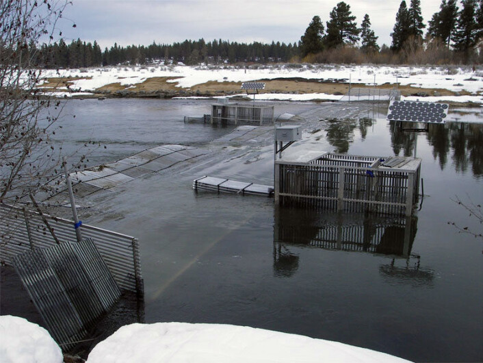 Et av Cramer Fish Services' anlegg for å overvåke laks i Williamson River i delstaten Oregon. USA ligger langt foran Norge i teknologi for å fange gytelaks i elvene. (Foto: USGS/Cramer Fish Services) Et av Cramer Fish Services' anlegg for å overvåke laks i Williamson River i delstaten Oregon. USA ligger langt foran Norge i teknologi for å fange gytelaks i elvene. (Foto: USGS/Cramer Fish Services)