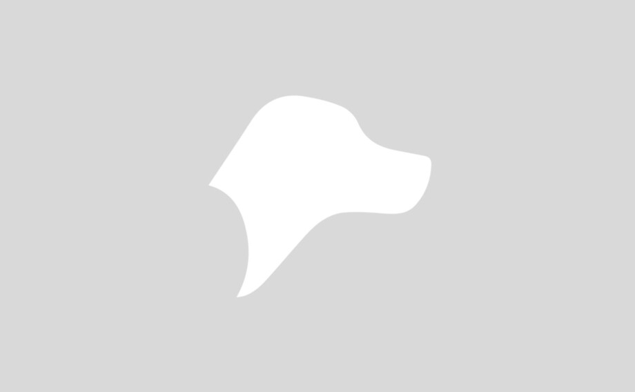 Automatic article from feed: Ungsistesak