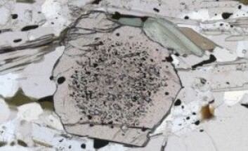 Under mikroskopet studerer jeg detaljer i steinen for å kunne lære mer om hvordan den er dannet. Det runde markerte kornet er mineralet granat. (Foto: Ane K. Engvik) Under mikroskopet studerer jeg detaljer i steinen for å kunne lære mer om hvordan den er dannet. Det runde markerte kornet er mineralet granat. (Foto: Ane K. Engvik)