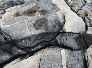 En god dag på jobben! Geologiske prosesser kan leses i berget – først var det bare grå gneis, deretter ble den kuttet av lyse årer og til slutt av en mørk gang. Bildet har jeg tatt under feltarbeid på Andøya. (Foto: Ane K. Engvik) En god dag på jobben! Geologiske prosesser kan leses i berget – først var det bare grå gneis, deretter ble den kuttet av lyse årer og til slutt av en mørk gang. Bildet har jeg tatt under feltarbeid på Andøya. (Foto: Ane K. Engvik)
