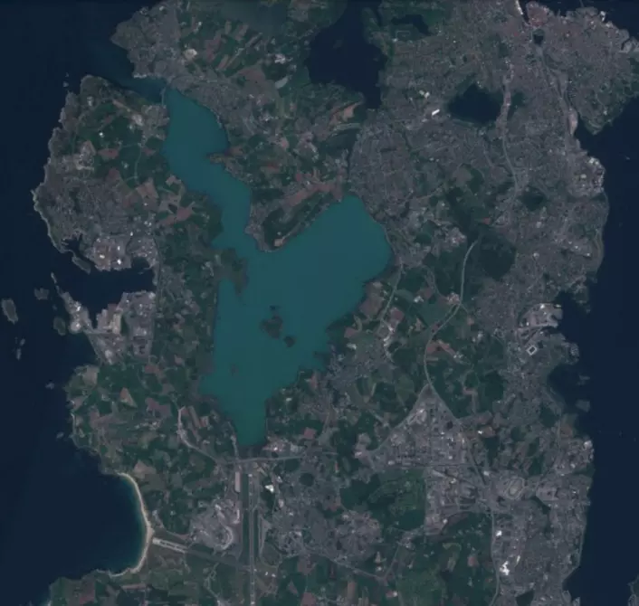 Det "blomstrer" i Hafrsfjord nå, her sett fra Sentinel-2 lørdag 26 mai. (Bilde: Copernicus Sentinel-2 data 2018)