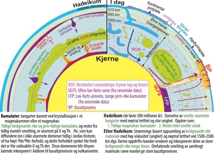 Figur 2. Struktur og bergartsdomener i Jordas mantel i dag (til høyre) og like etter at det nedre magmahavet hadde krystallisert i slutten av Hadeikum for ca. 4 milliarder år siden (til venstre). (Figur: R.G. Trønnes) Figur 2. Struktur og bergartsdomener i Jordas mantel i dag (til høyre) og like etter at det nedre magmahavet hadde krystallisert i slutten av Hadeikum for ca. 4 milliarder år siden (til venstre). (Figur: R.G. Trønnes)