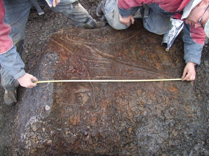 Stor hodeskalle av en fiskeøgle! Her ser Tommy og Pat fiskeøgla Geirus for første gang. Hvor jeg er? Jeg gifta meg. Foto: SMRG Stor hodeskalle av en fiskeøgle! Her ser Tommy og Pat fiskeøgla Geirus for første gang. Hvor jeg er? Jeg gifta meg. Foto: SMRG