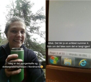Innspurt-snapping ser sånn ut. Foto: LLD Innspurt-snapping ser sånn ut. Foto: LLD