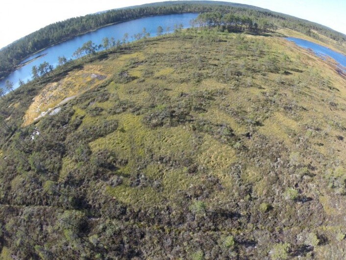 Myr sett fra drone. Her skal myra restaureres, men først undersøker vi den både på bakken og fra lufta. (Foto: NINA) Myr sett fra drone. Her skal myra restaureres, men først undersøker vi den både på bakken og fra lufta. (Foto: NINA)