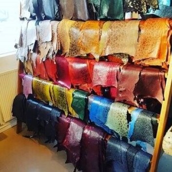 Steinbitskinn i alle mulige farger. (Foto: <a href="http://www.atlanticleather.is">www.atlanticleather.is</a>) Steinbitskinn i alle mulige farger. (Foto: <a href="http://www.atlanticleather.is">www.atlanticleather.is</a>)
