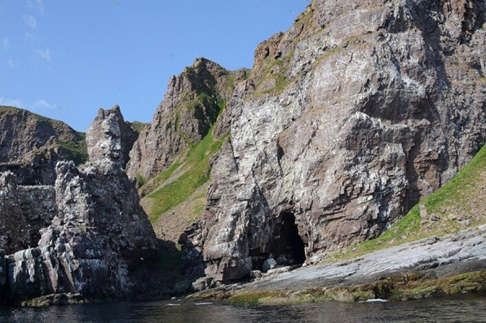 For 40 år siden var fuglefjellet ved Syltefjord i Øst-Finnmark en av de største i Europa. Nå er den nesten helt taus. (Foto: Rob Barrett.) For 40 år siden var fuglefjellet ved Syltefjord i Øst-Finnmark en av de største i Europa. Nå er den nesten helt taus. (Foto: Rob Barrett.)