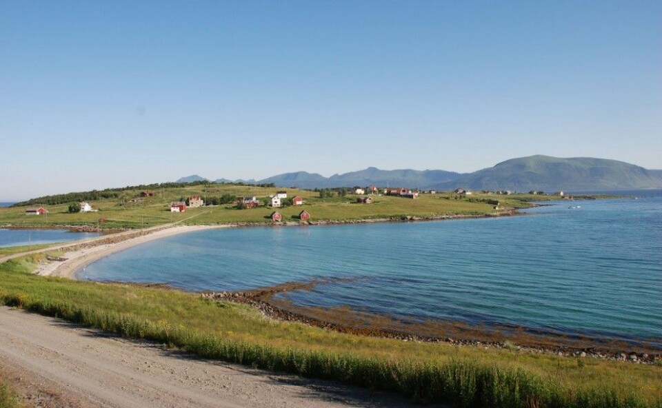 Holdøya, Hadsel kommune. Kystlandskap med aktiv jordbruksdrift. Et eksempel på kombinasjonslandbruk og kulturlandskap i et kystområde (Foto: Elin Rose Myrvoll, NIKU)