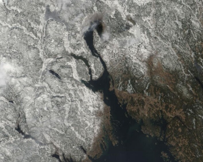 Våren er på vei sørfra - helt sikkert! (Bilde: NASA Terra MODIS) Våren er på vei sørfra - helt sikkert! (Bilde: NASA Terra MODIS)