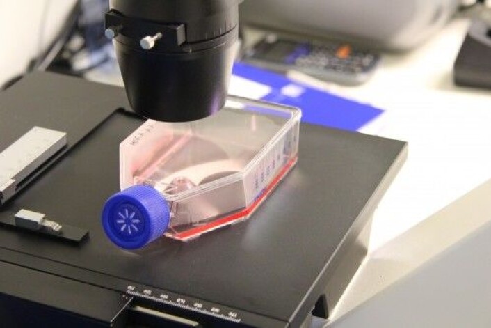 <em>Dersom vi finner kombinasjoner som kan tilbys HER2-positive brystkreftpasienter kan veien fra uttesting til behandling bli kortere. (Foto: Oslo Universitetssykehus)</em> <em>Dersom vi finner kombinasjoner som kan tilbys HER2-positive brystkreftpasienter kan veien fra uttesting til behandling bli kortere. (Foto: Oslo Universitetssykehus)</em>