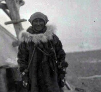 Blackjack i den lille teltleiren ekspedisjonen satte opp på Vrangeløya. <br>(Kilde: Courtesy of Dartmouth College Library) Blackjack i den lille teltleiren ekspedisjonen satte opp på Vrangeløya. <br>(Kilde: Courtesy of Dartmouth College Library)