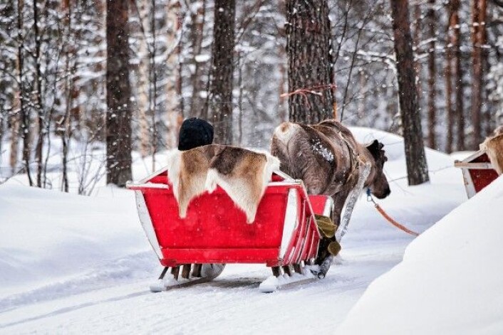 Sverige har langt fleire økosertifiserte bedrifter enn Noreg, men majoriteten av dei naturbaserte reiselivsbedriftene i begge land er negative til økosertifisering. (Foto: Colourbox) Sverige har langt fleire økosertifiserte bedrifter enn Noreg, men majoriteten av dei naturbaserte reiselivsbedriftene i begge land er negative til økosertifisering. (Foto: Colourbox)
