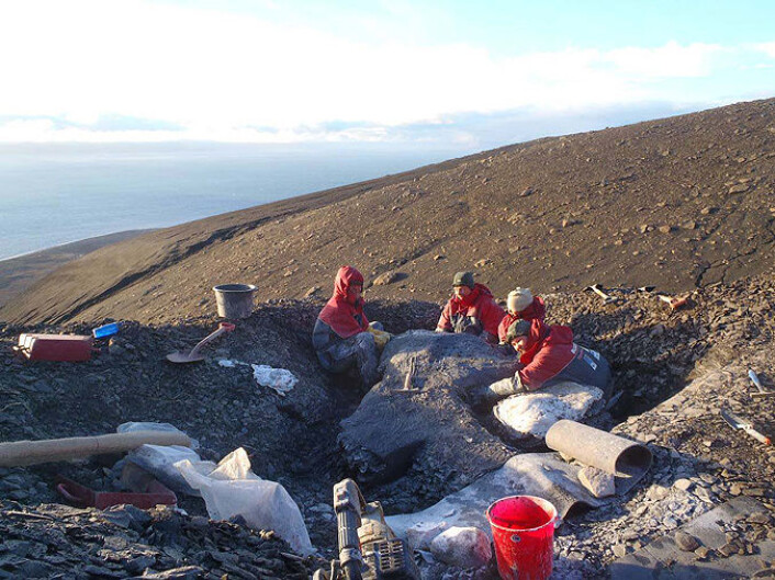 Øglegraverne 2010 gipser inn fiskeøgla Maskot. Foto: SMRG Øglegraverne 2010 gipser inn fiskeøgla Maskot. Foto: SMRG