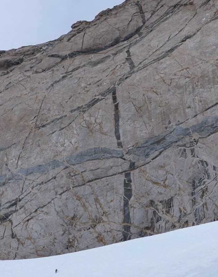 Prikken nederst på snøfonna illustrerer den enorme dimensjonen på fjellveggen. Smelter som størkner langs ganger og lag gir imponerende relasjoner . (Foto: Ane K. Engvik) Prikken nederst på snøfonna illustrerer den enorme dimensjonen på fjellveggen. Smelter som størkner langs ganger og lag gir imponerende relasjoner . (Foto: Ane K. Engvik)