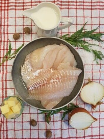 Disse er blant mange gode ingredienser i Stians hjemmelagede fiskekaker - oppskriften finner du under. (Foto: Stian Gjerstad Iversen, Nofima) Disse er blant mange gode ingredienser i Stians hjemmelagede fiskekaker - oppskriften finner du under. (Foto: Stian Gjerstad Iversen, Nofima)