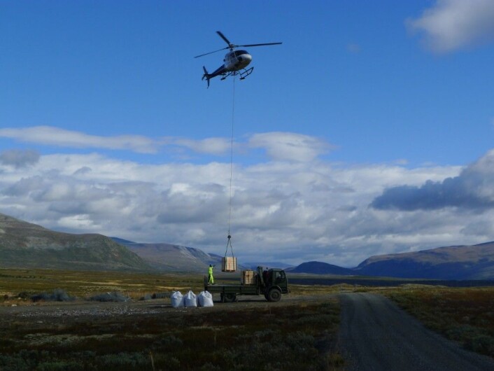 Vierplanter og jord ble løftet ut med helikopter for å få dem raskt fram til plantestedet. (Foto: Dagmar Hagen) Vierplanter og jord ble løftet ut med helikopter for å få dem raskt fram til plantestedet. (Foto: Dagmar Hagen)