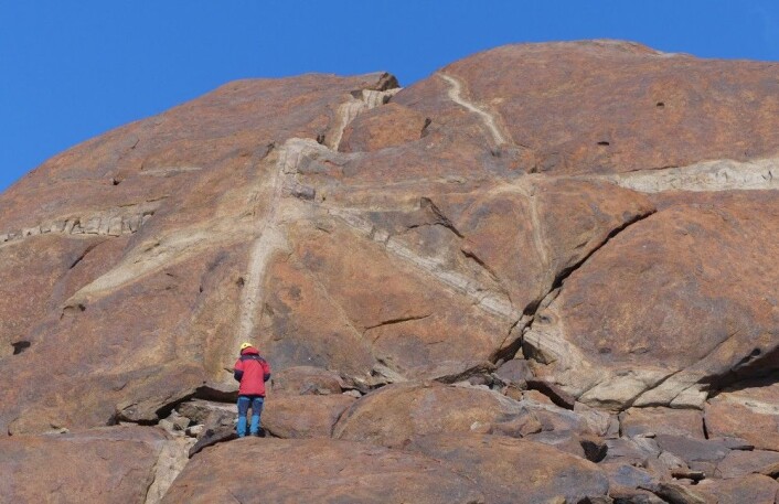 Geologen i bergveggen. (Foto: Ane K. Engvik) Geologen i bergveggen. (Foto: Ane K. Engvik)