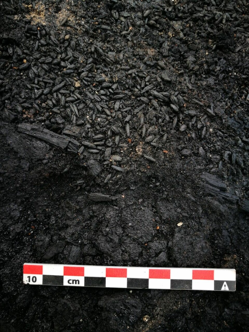 De nedbrente restene av et lagget kar fylt med korn Foto: NIKU