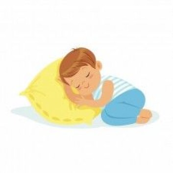 <em>Bárdni oađđá</em> (Gutten sover) og <em>Bárdni ii oađe</em> (Gutten sover ikke). (Illustrasjonsfoto: Colourbox) <em>Bárdni oađđá</em> (Gutten sover) og <em>Bárdni ii oađe</em> (Gutten sover ikke). (Illustrasjonsfoto: Colourbox)