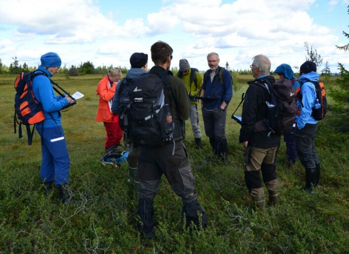 Kalibrering er viktig når nye tradisjoner skal bygges, og det gjøres best ved å tilbringe tid sammen i felt. Her er ansatte og studenter fra Naturhistorisk Museum på felleskartlegging på Ringsakerfjellet i september 2017. Foto: Anders Bryn Kalibrering er viktig når nye tradisjoner skal bygges, og det gjøres best ved å tilbringe tid sammen i felt. Her er ansatte og studenter fra Naturhistorisk Museum på felleskartlegging på Ringsakerfjellet i september 2017. Foto: Anders Bryn