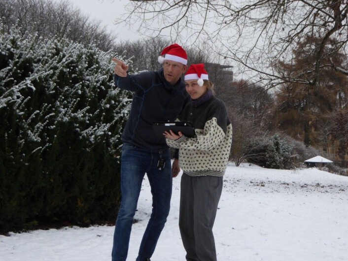 Det er som oftest lite overlapp mellom julefeiring og naturkartlegging, men det er lange tradisjoner for begge deler i Norge. Her kartlegger Heidrun A. Ullerud og Anders Bryn i Botanisk Hage i Oslo. Foto: Inger K. Volden Det er som oftest lite overlapp mellom julefeiring og naturkartlegging, men det er lange tradisjoner for begge deler i Norge. Her kartlegger Heidrun A. Ullerud og Anders Bryn i Botanisk Hage i Oslo. Foto: Inger K. Volden