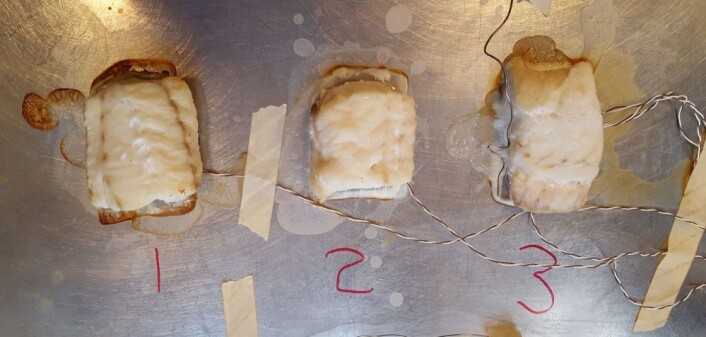 Her er et bilde fra forsøk med ovnsbaking av torsk. Vi kan tydelig se hvordan den har krympet. (Foto: Dagbjørn Skipnes, Nofima) Her er et bilde fra forsøk med ovnsbaking av torsk. Vi kan tydelig se hvordan den har krympet. (Foto: Dagbjørn Skipnes, Nofima)