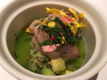 Makrell servert på en måte de fleste av oss i Norge ikke er vant til. Lekkert, og så godt! (Foto: Kine Mari Karlsen) Makrell servert på en måte de fleste av oss i Norge ikke er vant til. Lekkert, og så godt! (Foto: Kine Mari Karlsen)