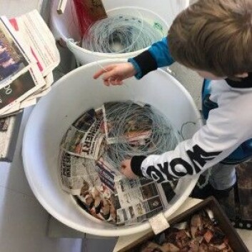 Her trer min sønn på 11 år makrell på fiskekrokene. (Foto: Kine Mari Karlsen) Her trer min sønn på 11 år makrell på fiskekrokene. (Foto: Kine Mari Karlsen)