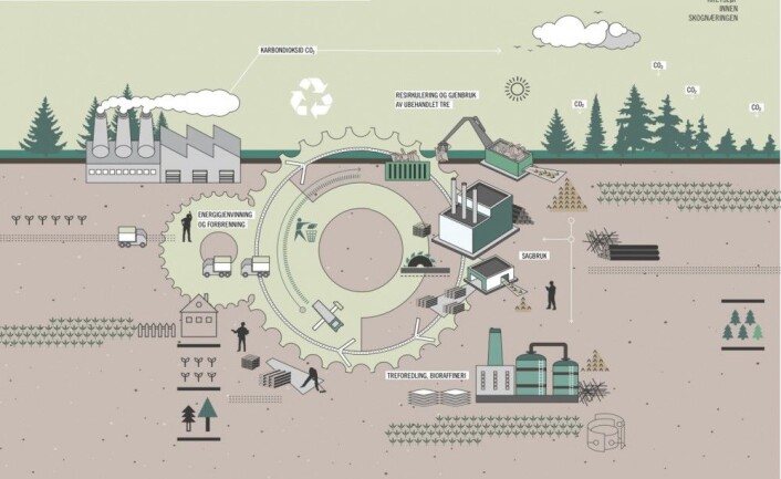 Kretsløp innen skognæringen (Grafikk: Skog22) Kretsløp innen skognæringen (Grafikk: Skog22)