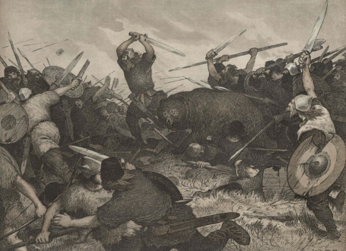 MANNBJØRN: I førkristen tro ble bjørnen forbundet med makt og styrke. «Berserkene» kunne låne dyrskraft i strid. Dette bildet viser den danske sagnkongen Rolf Kråke i bjørneham. By Louis Moe - AU Library, Campus Emdrup, CC BY-SA 4.0, <a href="https://commons.wikimedia.org/w/index.php?curid=57517662">https://commons.wikimedia.org/w/index.php?curid=57517662</a> MANNBJØRN: I førkristen tro ble bjørnen forbundet med makt og styrke. «Berserkene» kunne låne dyrskraft i strid. Dette bildet viser den danske sagnkongen Rolf Kråke i bjørneham. By Louis Moe - AU Library, Campus Emdrup, CC BY-SA 4.0, <a href="https://commons.wikimedia.org/w/index.php?curid=57517662">https://commons.wikimedia.org/w/index.php?curid=57517662</a>