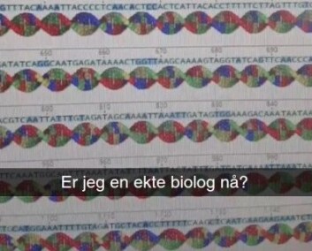 For en paleontolog er det ganske eksotisk å jobbe med DNA-sekvenser Foto: LLD For en paleontolog er det ganske eksotisk å jobbe med DNA-sekvenser Foto: LLD