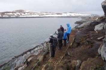 Norsk reiseliv er i kraftig vekst og naturen, som her fra Hornøya, er en viktig attraksjon. (Foto: Øystein Aas) Norsk reiseliv er i kraftig vekst og naturen, som her fra Hornøya, er en viktig attraksjon. (Foto: Øystein Aas)