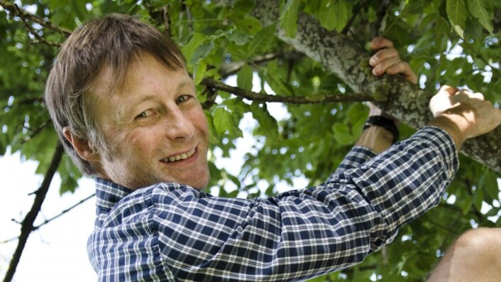 I kunnskapens tre: Nyvalgt NIH-rektor Lars Tore Ronglan. Foto: NIH I kunnskapens tre: Nyvalgt NIH-rektor Lars Tore Ronglan. Foto: NIH