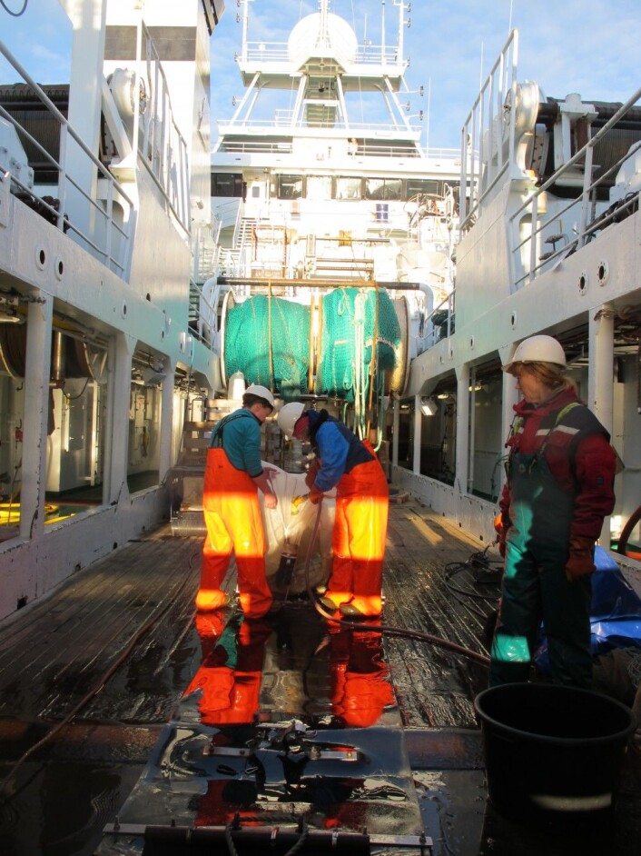 Neste redskap er kommet opp fra dypet. Foto: Mareano Neste redskap er kommet opp fra dypet. Foto: Mareano