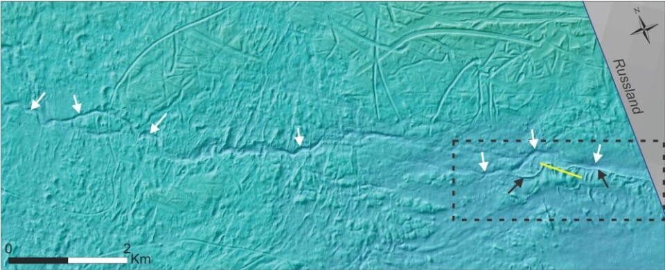 Midt i Barentshavet kan man se elvekanaler (hvite piler) langs havbunnen på omtrent 250 meters dyp. Disse er dannet av smeltevann, under en tidligere isbre. Svarte piler peker på en esker, bestående av sand, grus, stein og blokk avsatt i en tunnel under isen før den smeltet. Gul linje viser et videotransekt over eskeren. Striplet firkant viser inzoomet bilde av ekseren og elvekanalen. Foto: Mareano