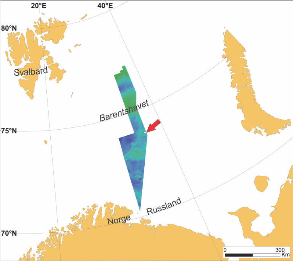 Oversiktsbildet over viser hvor vi kan se godt bevarte elvekanaler på havbunnen (rød pil), midt i Barentshavet ved grensa til Russland. Foto: Mareano