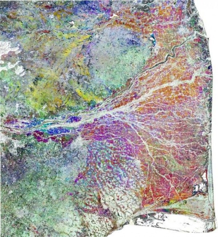 Risåkre (i blått, rødt og lilla) i Tamil Nadu i India sett av Sentinel-1. Skog synes i gult og grønt. Sentinel/Copernicus/RIICE/TNAU Risåkre (i blått, rødt og lilla) i Tamil Nadu i India sett av Sentinel-1. Skog synes i gult og grønt. Sentinel/Copernicus/RIICE/TNAU