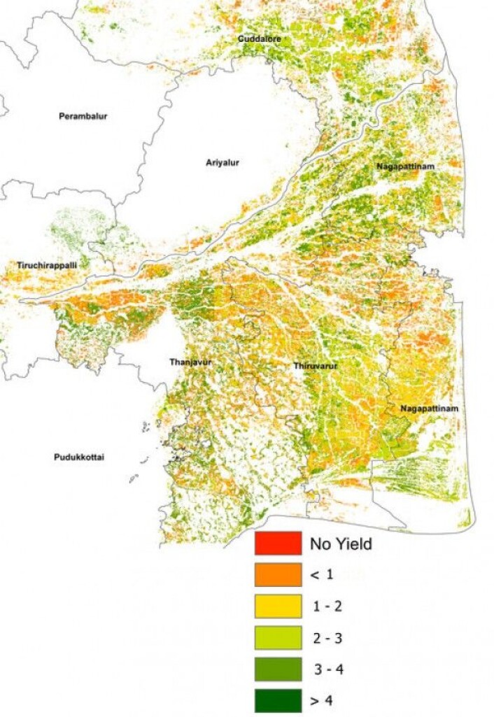 Risavlinger i Sør-India sett av radarsatellittene Sentinel-1. Rødere farge viser dårligere avling. Sentinel/Copernicus/RIICE/TNAU Risavlinger i Sør-India sett av radarsatellittene Sentinel-1. Rødere farge viser dårligere avling. Sentinel/Copernicus/RIICE/TNAU