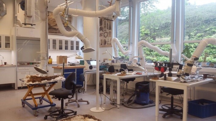 Og til slutt må vi skryte litt av den nye laben på Økern der prepareringen foregår om dagen! Foto: LLD Og til slutt må vi skryte litt av den nye laben på Økern der prepareringen foregår om dagen! Foto: LLD