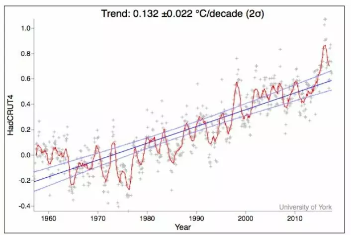 Global temperatur siden 1957. (Grafikk: Univ. York)