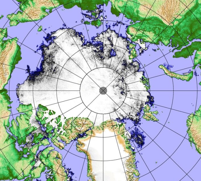 Iskart for 30. juli, basert på observasjoner fra det japanske instrumentet AMSR2. (Bilde: PolarView/Univ Bremen) Iskart for 30. juli, basert på observasjoner fra det japanske instrumentet AMSR2. (Bilde: PolarView/Univ Bremen)