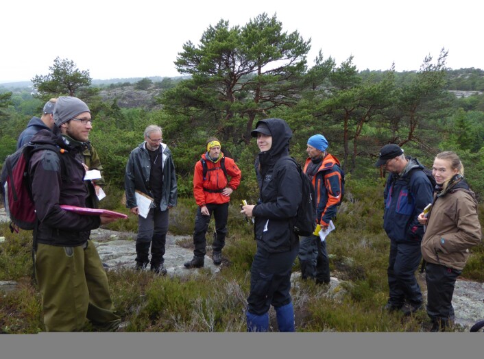 Slik så det ut når vi gjorde feltarbeid i fjor. Basert på dette har Eva (i midten av bildet) har skrevet historiens første NiN-master. Foto: HAU Slik så det ut når vi gjorde feltarbeid i fjor. Basert på dette har Eva (i midten av bildet) har skrevet historiens første NiN-master. Foto: HAU