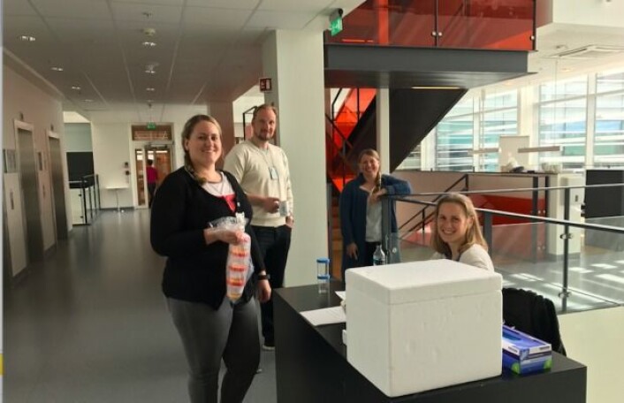 Medlemmer av epigenetikk-gruppen ved avdeling for Molekylæronkologi, Institutt for Kreftforskning, Oslo Universitetssykehus samler inn urinprøver fra friske kontroller. Fra venstre: Hilde Honne, Kim Andresen, Guro E. Lind, Heidi D. Pharo. Foto: Privat Medlemmer av epigenetikk-gruppen ved avdeling for Molekylæronkologi, Institutt for Kreftforskning, Oslo Universitetssykehus samler inn urinprøver fra friske kontroller. Fra venstre: Hilde Honne, Kim Andresen, Guro E. Lind, Heidi D. Pharo. Foto: Privat
