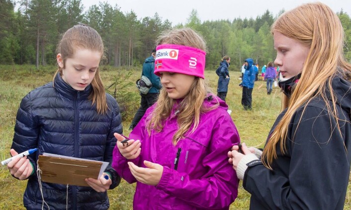Elevene førte resultatet av tellingene inn på et eget skjema. (Foto: Børre K. Dervo ©) Elevene førte resultatet av tellingene inn på et eget skjema. (Foto: Børre K. Dervo ©)