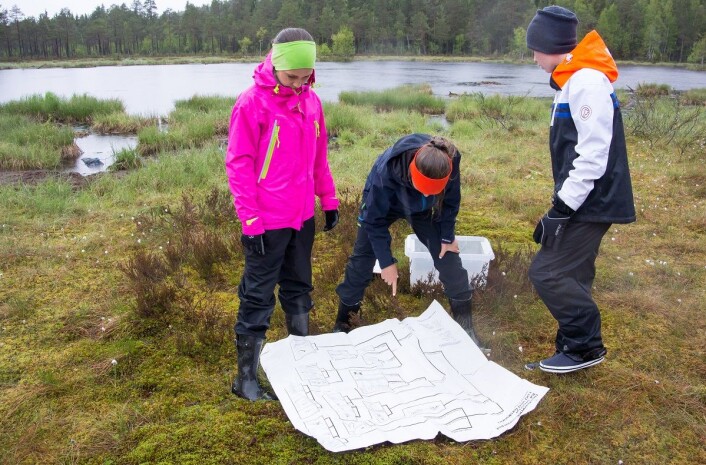 Elvene fikk bruke en plastbelagt bestemmelsesnøkkel til å finne ut hva slags dyr de fant. (Foto: Børre K. Dervo ©) Elvene fikk bruke en plastbelagt bestemmelsesnøkkel til å finne ut hva slags dyr de fant. (Foto: Børre K. Dervo ©)