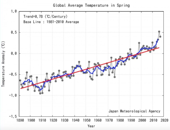 De tre siste årene har hatt de tre varmeste vårsesongene, i følge japanske JMA. Og den lange trendlinjen dras stadig oppover. (Bilde: JMA). De tre siste årene har hatt de tre varmeste vårsesongene, i følge japanske JMA. Og den lange trendlinjen dras stadig oppover. (Bilde: JMA).