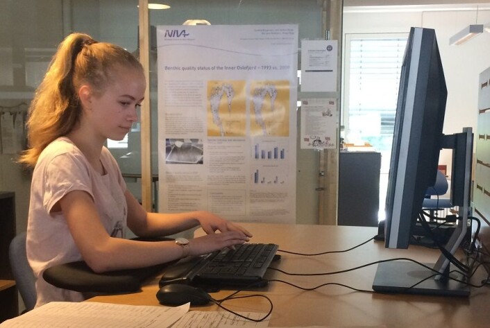 Her knaster jeg inn data Trine Bekkby Her knaster jeg inn data Trine Bekkby