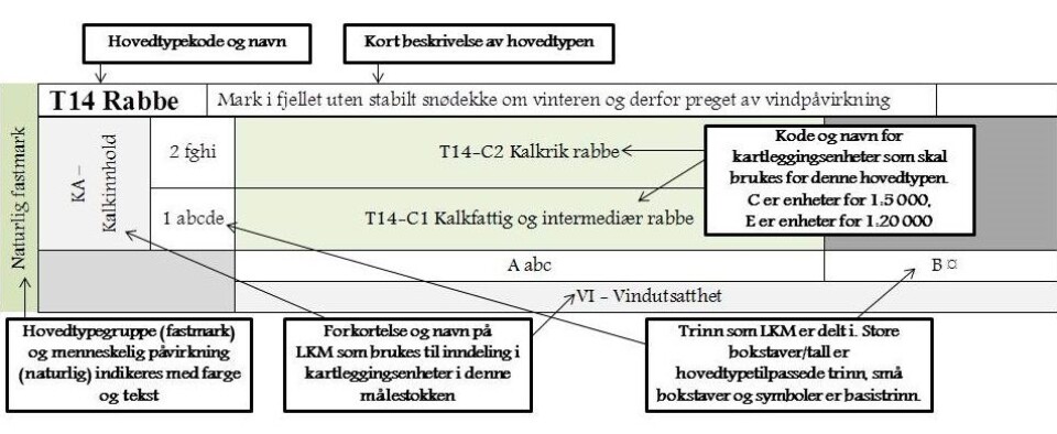 Eksempel med forklaring fra kortveilederen, her vises det økologiske rommet for hovedtypen rabbe. Figur fra kortveilederen (Bryn & Ullerud 2017)