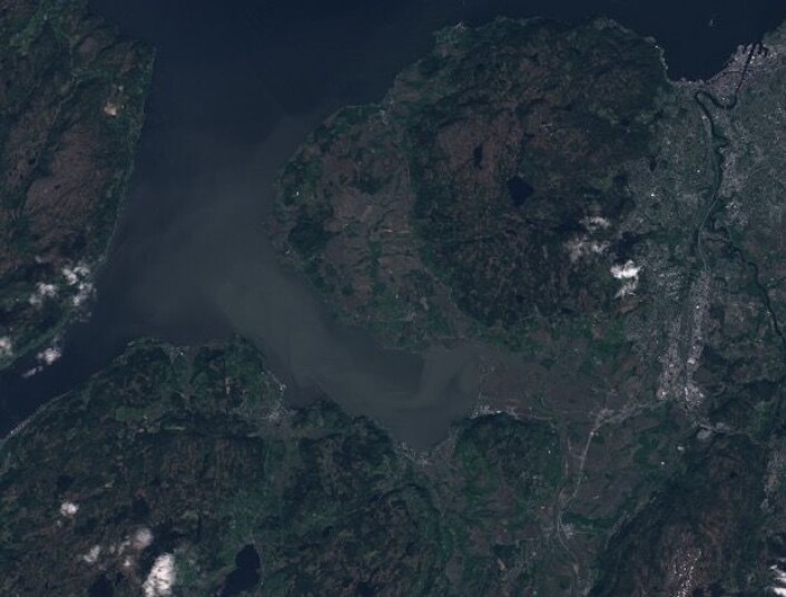 Vårflommen i Gaula setter sitt preg på vannet i Trondheimsfjorden. (Bilde: Copernicus Sentinel data 2017) Vårflommen i Gaula setter sitt preg på vannet i Trondheimsfjorden. (Bilde: Copernicus Sentinel data 2017)